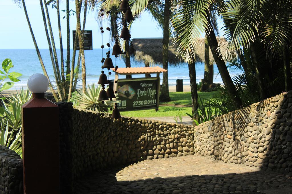 Perla Negra Beach Front Hotel Puerto Viejo de Talamanca Exteriér fotografie